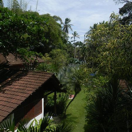 Chalet Cabinas Hibiscus Cahuita Exterior foto