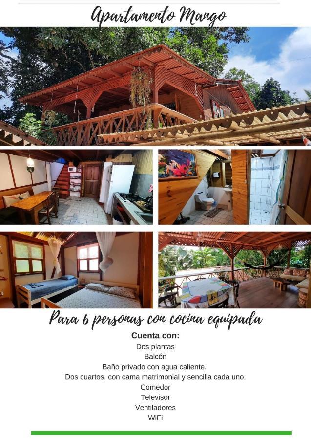 Chalet Cabinas Hibiscus Cahuita Exterior foto