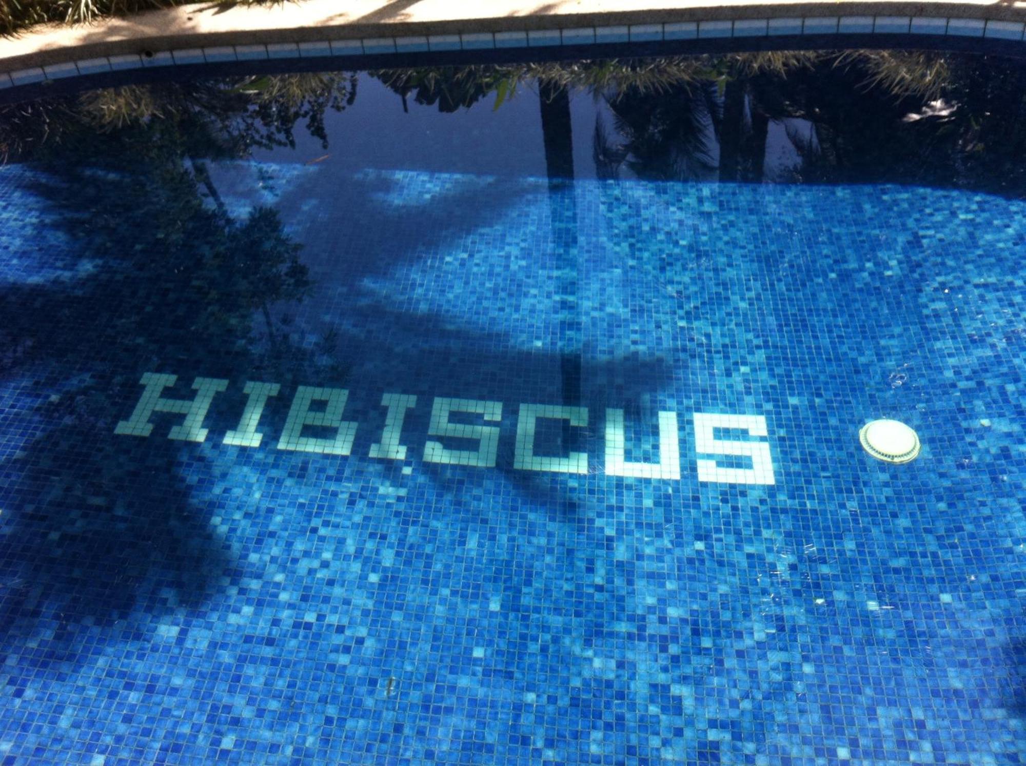 Chalet Cabinas Hibiscus Cahuita Exterior foto