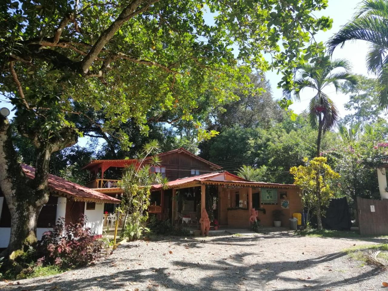Chalet Cabinas Hibiscus Cahuita Exterior foto